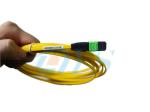 Fiber Ribbon Optical Fiber Patch Cord FTTH Pigtail For CATV Systems