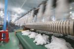 Latex Surgical Glove Production Line Small Nitrile Glove Manufacturing Machine