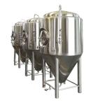 Steam Heating 500L Whole Set Turnkey Project Beer Brewery Equipment for Beer