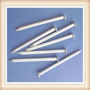 Wholesale concrete nail/common nail/nail from china suppliers