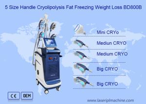 Wholesale 360 Angle Vertical Double Chin Cryolipolysis Slimming Machine from china suppliers
