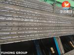 Alloy Steel Seamless Tube ASME SA213 T2 For Boiler And Heat Exchanger