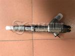 Weichai Deutz engine WP6G125E333 injector 1000975748 Bosch 0445120492