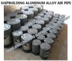 W2T1-PN10-80A sea water tank float type aluminum alloy breathable cap / sea