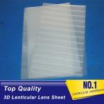Buy Animation Lenticular Lens Blanks 3D Sheets PET Flip Action Motion 60 LPI 3D