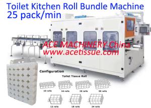 Wholesale Tissue Paper Packing Machine Fully Automatic Packing Multi Toilet Roll Kitchen Towel Into A Pre Made PE Bag from china suppliers