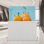 Desktop 55 Inch OLED Transparent Screen Automatic Rising Lowering Display