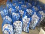 HIGH QUALITY CHINA FRESH GARLIC