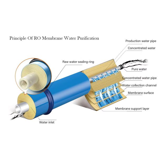 Ultrapure Water Purification Equipment With Advanced RO & EDI Technology