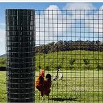 Pvc Coated Chicken Coop Square Hole Farm Fence 1/2 Inch 3/4 Inch Welded Wire