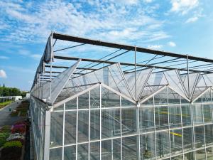 Wholesale Multi Span Large Glass Greenhouse Kit Span Width 9.6m 10.8m 12m from china suppliers