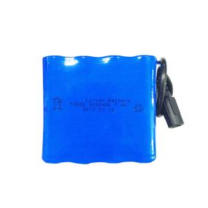 Wholesale Pollution Free 7.4V 8000mAh Sony 18650 Lithium Ion Battery from china suppliers
