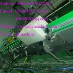UPE Beverage production line inverter UPE Coca-Cola Inverter 180 degree UHMW-PE