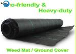 Qualified Free Samples Agriculture Woven PP Woven Plastic Ground Cover Landscape