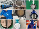 Ductile iron PN16 U section type flanged butterfly valve