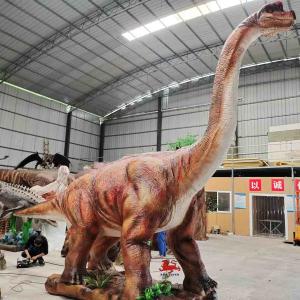 Wholesale Jurassic World Diplodocus Model Brachiosaurus Model from china suppliers