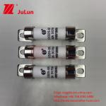 10A 30A 50A 750VDC EV Fuse Hey Are For EV Traction System, 15A 20A Power