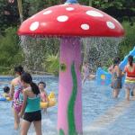 Frog Shape Lake Splash Pad Eco Friendly Backyard Splash Park