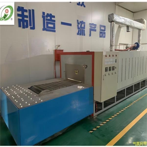 Customized Chain Mesh Belt Furnace High Temperature Industrial Production Line