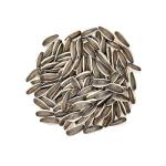 Amazon hot sale Sell high-quality sunflower seed raw materials that meet Egypt's