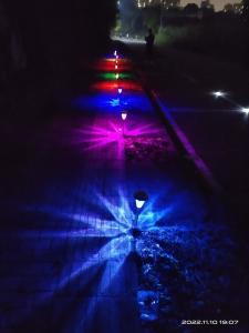 Wholesale Colorful IP65 Waterproof Solar Powered Garden Lights Decoration For Outside from china suppliers