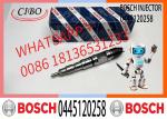 Common Rail Diesel fuel Injector 0445120258 4009030031 for DOOSAN excavator