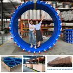 6 Inch 24 Inch Dn1800 Double Flange Carbon Steel Dismantling Joint For