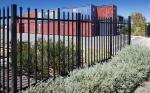 Black powder coated spear top galvanised tubular metal fence