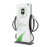 India Fast EV Charger 60kW 30 Minutes Fully Charged Billing-operational