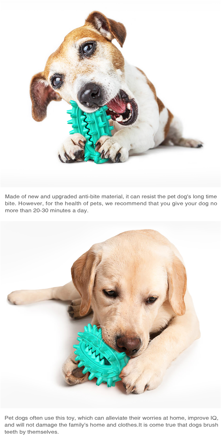 Clean Teeth Leaking Molar Dog Toothbrush Pet Toy Bite Resistant Dog Toy Ball