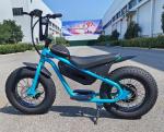 Affordable 36V350W 16 inch Fat Tire Electric Dirt Bike for Kids Experience the