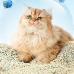 Bentonite And Tofu Mixed Cat Litter Dust Free Tofu Clumping Litter