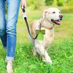 No Handle Biodegradable Compostable Bags Pet Poop PBAT Plastic Green Bags