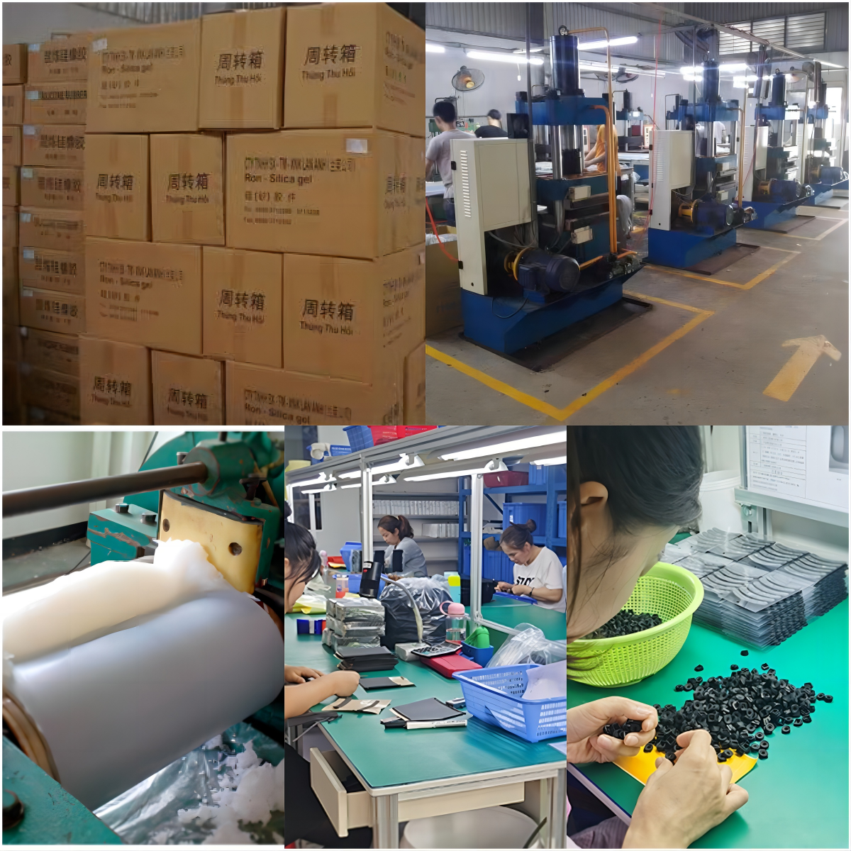 FKM Automobile Rubber Parts Engine Gaskets And Seals Fluorine Rubber Skeleton Motor Oil Seal