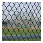 Galvanized PVC Coated Chain Link Fencing for Highway Fence Sustainable and