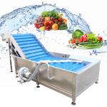 Vegetable Cleaning Peeling Machine Potato / Carrot / Cassava / Taro Washing
