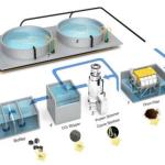 1000L-50000L Capacity Low Noise Rotary Drum Filter for RAS System Fish Farming