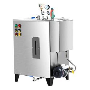 Wholesale Mini Industrial automatic steam generator 24Kw 32kg/H 6 security protection from china suppliers