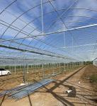 US 20/Square Meter Hydroponic Drip Irrigation Plastic Film Greenhouse for
