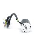 42BLY01C Stable Performance Brushless Dc Motor 24v