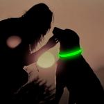 Lightweight LED Dog Collar USB Rechargeable , High Visible LED Pet Dog Collar