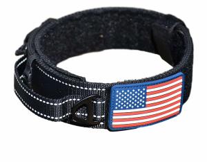 Wholesale Double Thick Nylon Dog Collars Easy Cleaning With Brushed Hardware Finish from china suppliers