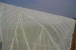 50 * 25 Mesh Anti Insect Mesh 165g / M2 Hdpe Material High Tenacity