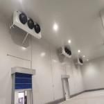 Freon Refrigerant Cold Room Freezer and Cooler Room with 10 Years After-sales