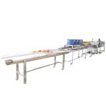 Hot selling Industrial Vegetable Washing Machine With Quality Assurance by
