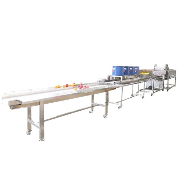Hot selling Industrial Vegetable Washing Machine With Quality Assurance by