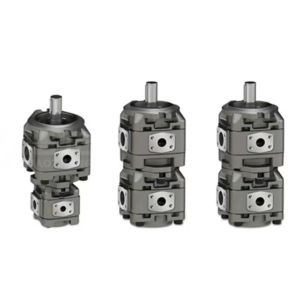 Customized Cast Iron Gear Pump Hydraulic Vickers 5001417-001