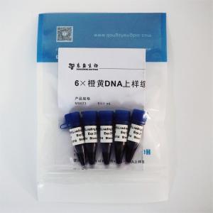 China 6× Gel Loading Dye Three Color DNA Electrophoresis Buffer EDTA 1mlx5 on sale
