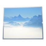 EV190E0M-N50 19.0 Inch 60Hz 1280(LCR)*1024 Resolution 30 Pins LCD Display for