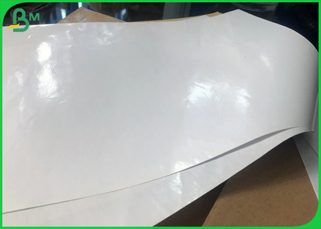 Oil Proof One Side 12g PE Coated Lunch Box Food Grade Paper Board